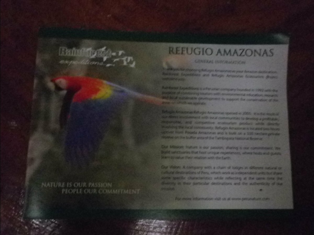 Amazon - Peru33